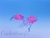 BO Cute Pink Jellyfish